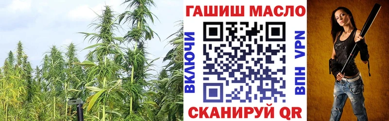 Купить где  Подпорожье  ТГК вейп 