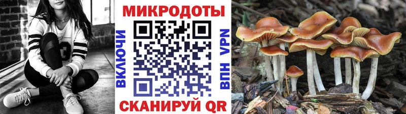 Купить где  Подпорожье  Галлюциногенные грибы Psilocybine cubensis 